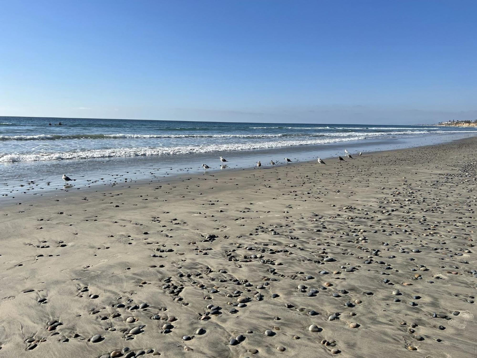 Holiday Inn Carlsbad/San Diego By Ihg Luaran gambar